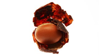 地球上最佳的材料:摩洛哥堅果油