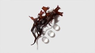 逆時光至臻修護系列